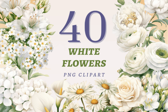 Download White Flowers PNG Bundle - Png Collection