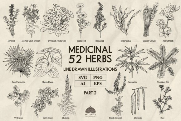 Download Medicinal Herbs Part 2 Line Art Svg Png - Png Collection