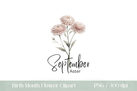 Download Birth Month Flower September Aster PNG - Png Collection