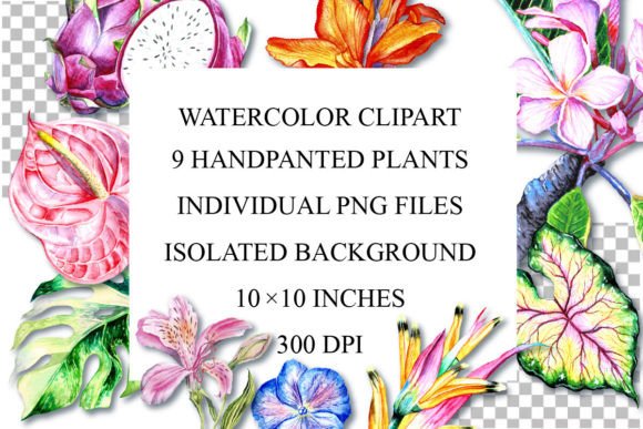 Download Watercolor Plants Clipart, PNG - Png Collection