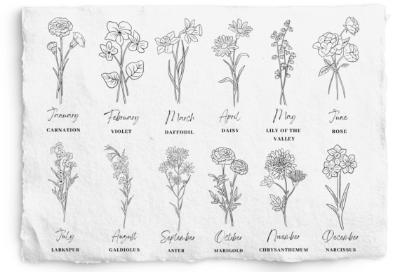 Download Birth Month Flower SVG and PNG Bundle - Png Collection