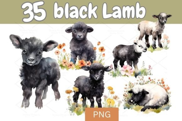 Download Digital Set of 35 Black Lamb PNG 725 - Png Collection