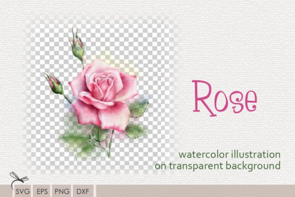 Download Floral Watercolor Illustration Rose - Floral watercolor illustration Collection