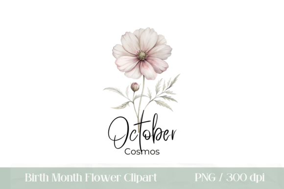 Download Birth Month Flower October Cosmos PNG - Png Collection