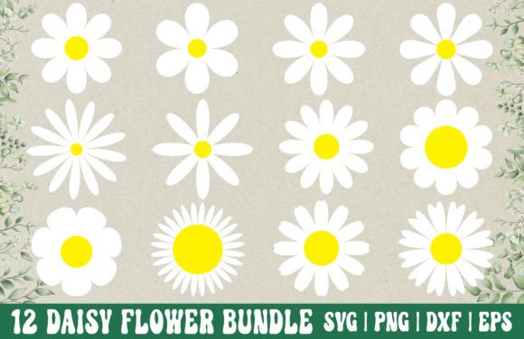 Download Daisy Flower SVG Bundle - Daisy PNG - Png Collection