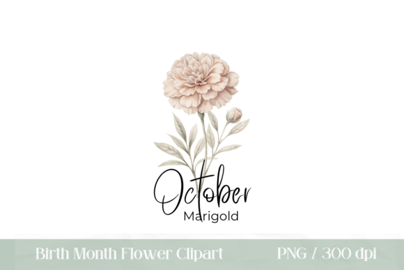 Download Birth Month Flower Marigold PNG - Png Collection