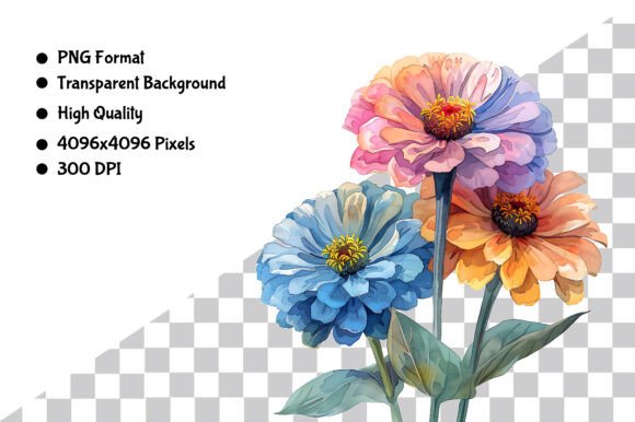 Download Watercolor Zinnia Flower PNG - Png Collection