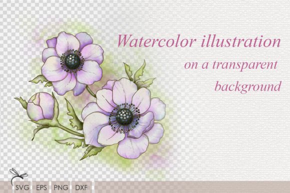 Download Floral Watercolor Illustration Anemones - Floral watercolor illustration Collection