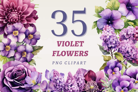 Download Violet Flowers PNG Bundle - Png Collection